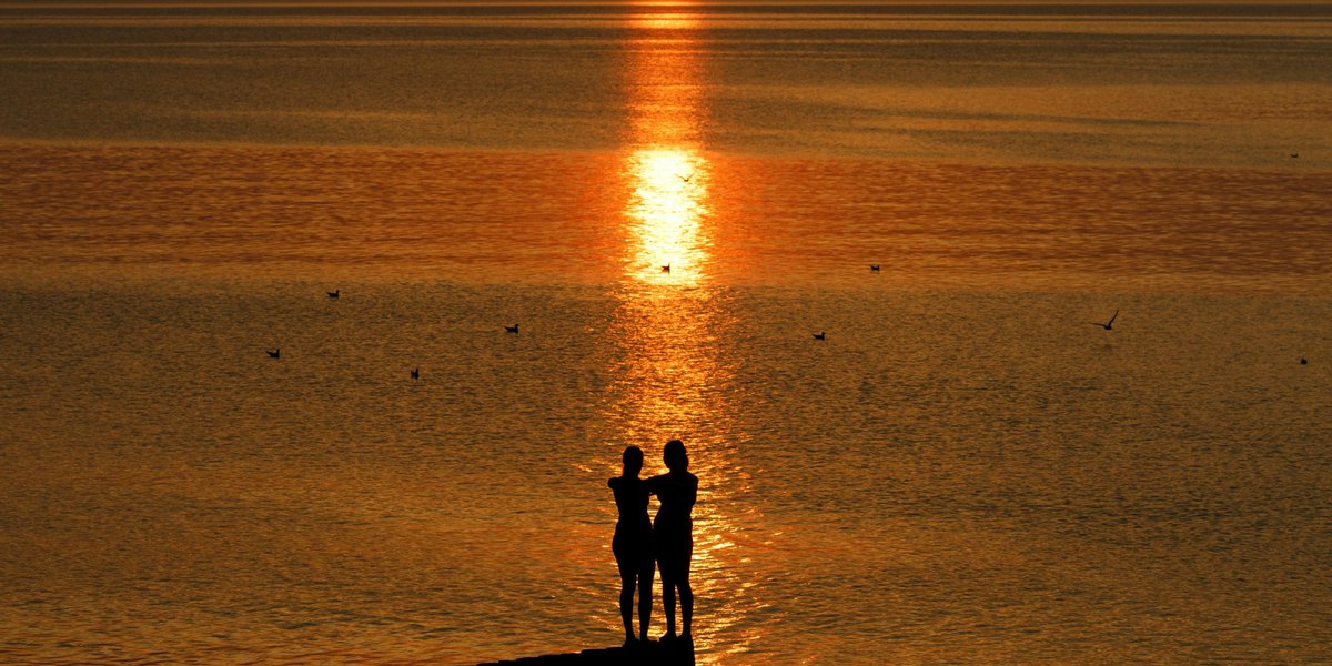 The Data Appeal Company tweet media