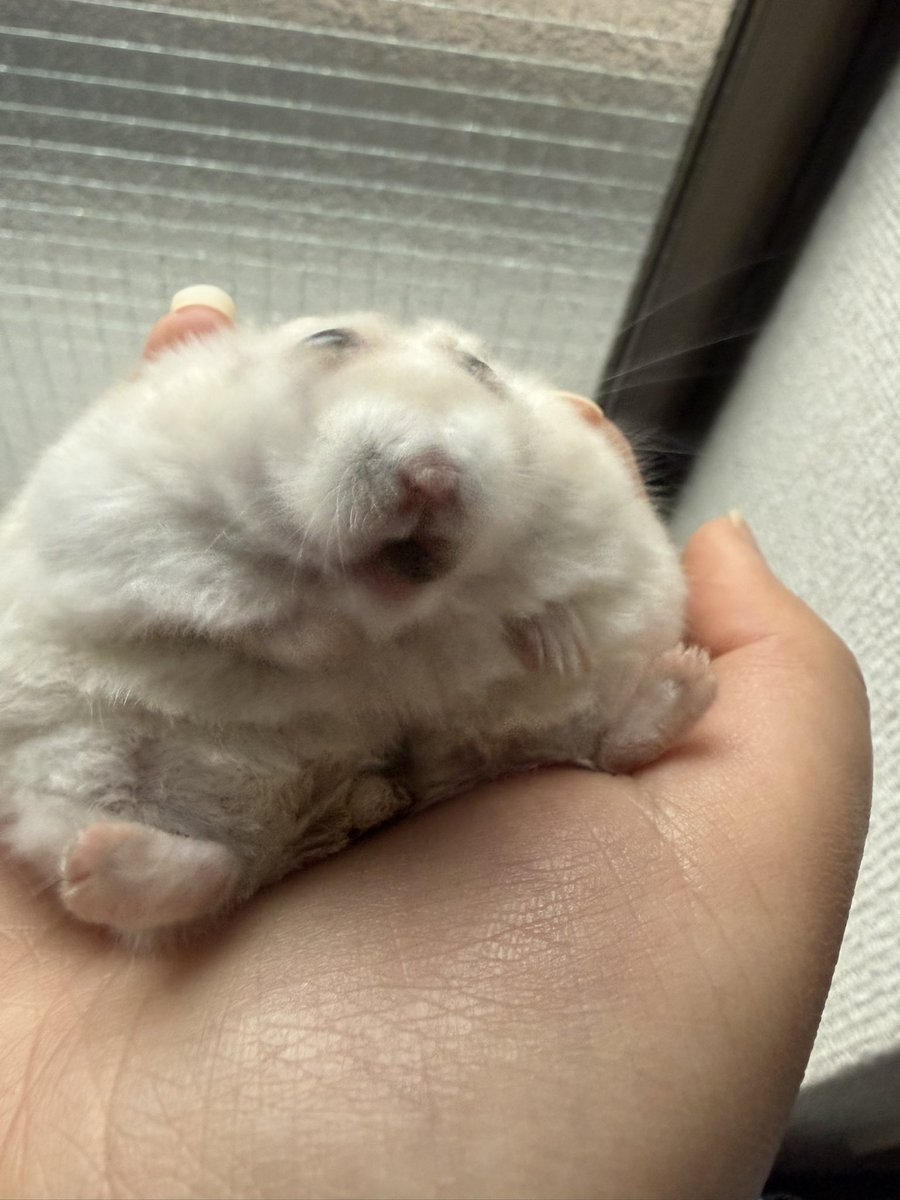 ErrorJokery's tweet photo. #自分が気に入ってる写真を1枚選んで無言で貼る https://t.co/P7LDvKI0FW