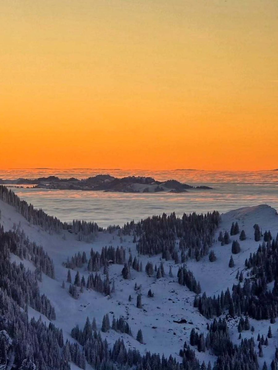 Lucerne Tourism tweet media