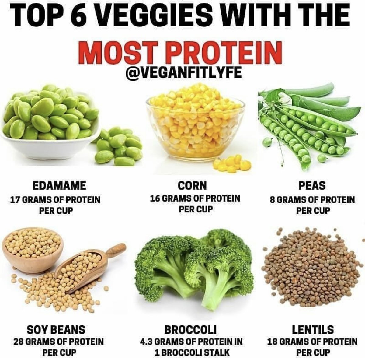 Vegan Future tweet media