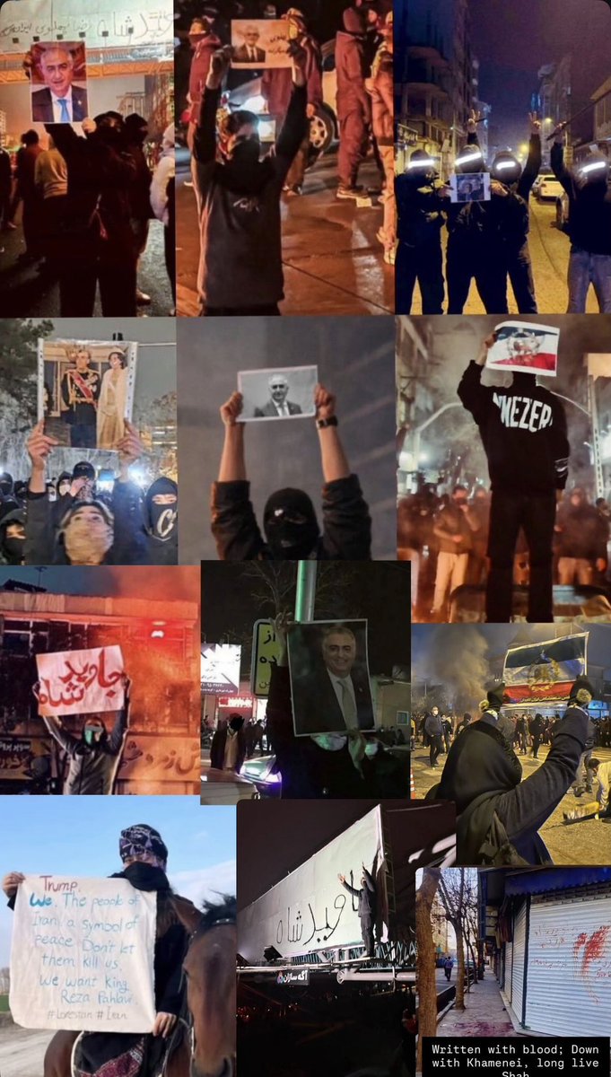 سابینا در بار هستی tweet media