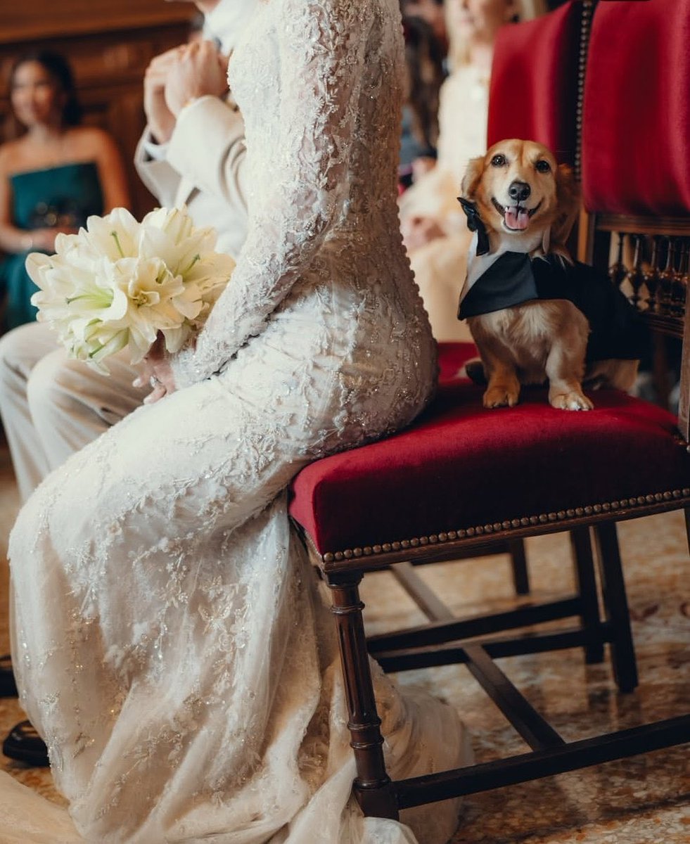 Gente que coisa mais fofa 😍