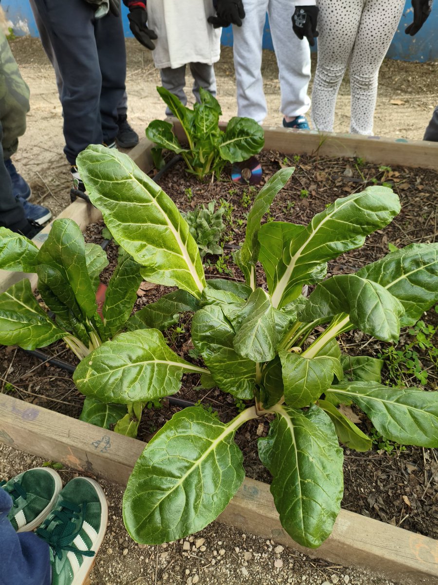 El Greco tweet media