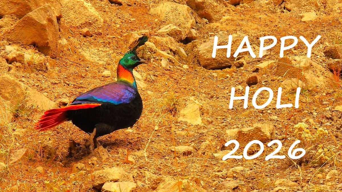 THE BIRDER'S STORE tweet media