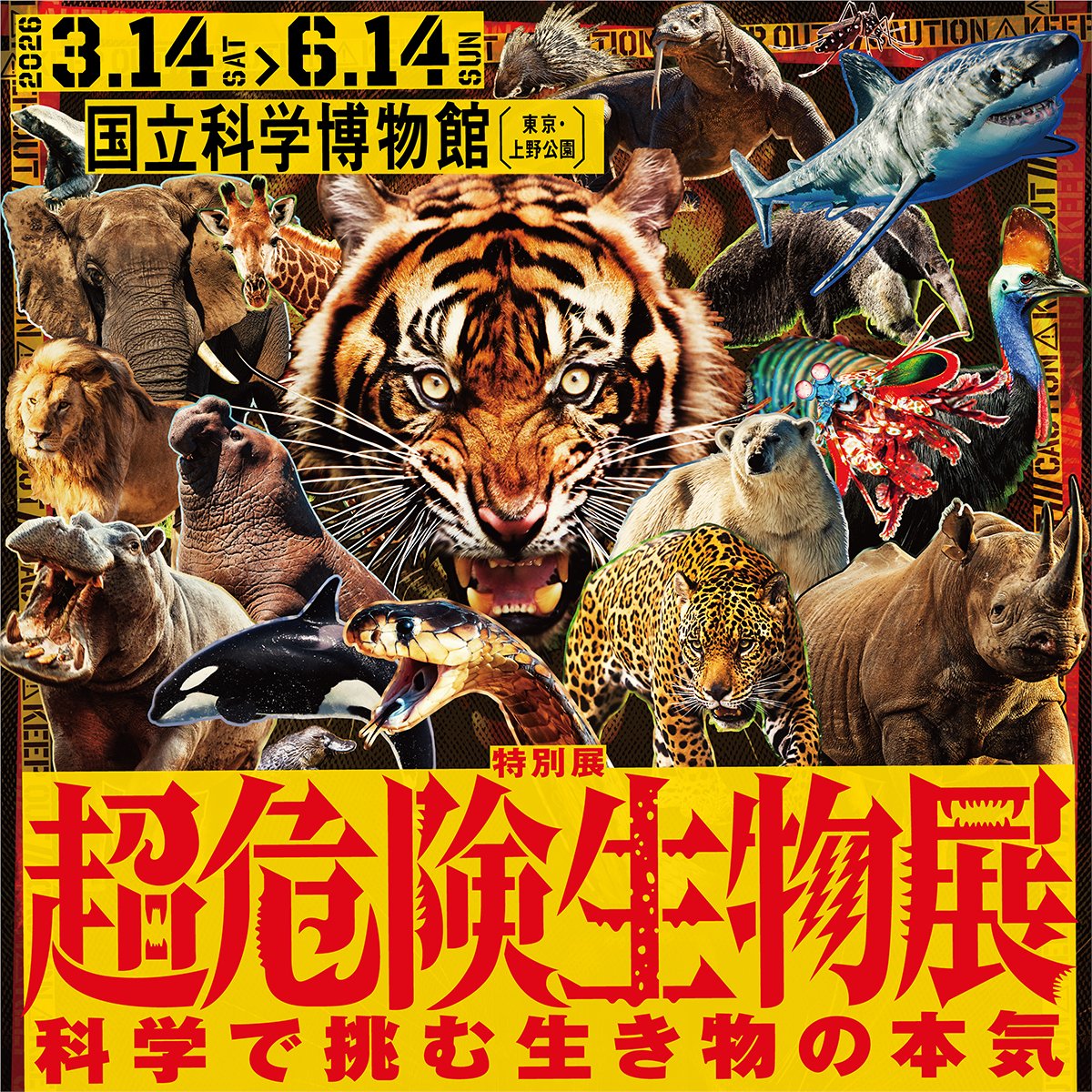 【公式】超危険生物展 tweet media