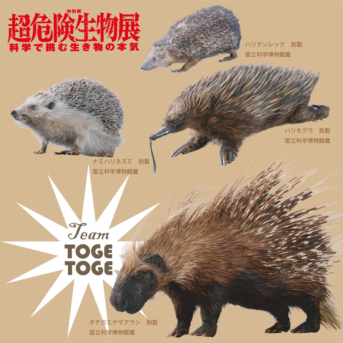 【公式】超危険生物展 tweet media