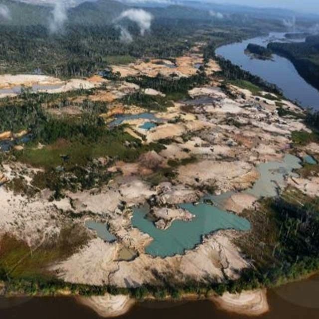 Hasta cuando van permitir que se siga destruyendo parque nacionales al sur de pais con la mineria ilegal que esta acabando con la fauna y la flora en esa zona así como contaminando  la cuencas de agua potable de nuestra pais venezuela .🆘🆘🆘🆘🇻🇪