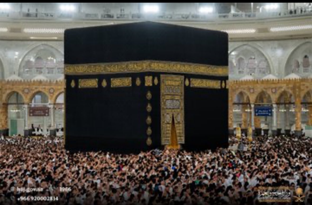 شركة الذاكرين لخدمات حجاج الداخل tweet media