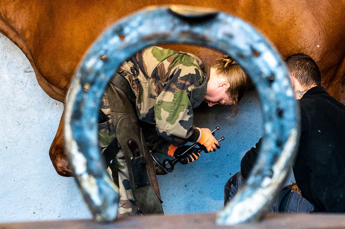 Direction ressources humaines de l'armée de Terre tweet media