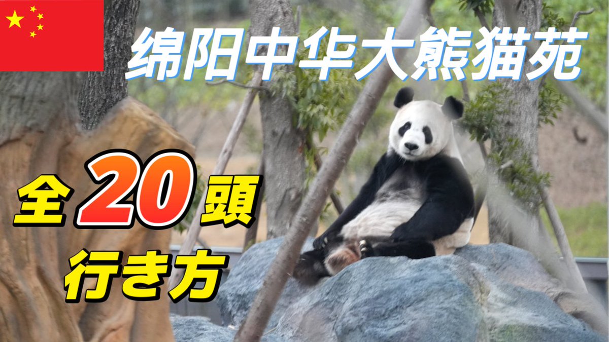 おとぱん🍎🐼 (@otohapanda222) / Posts / X