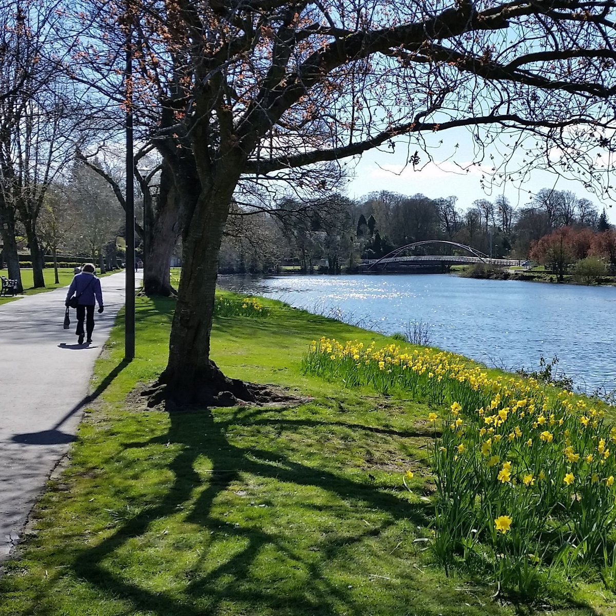 Dumfries & Galloway! What's Going On? tweet media