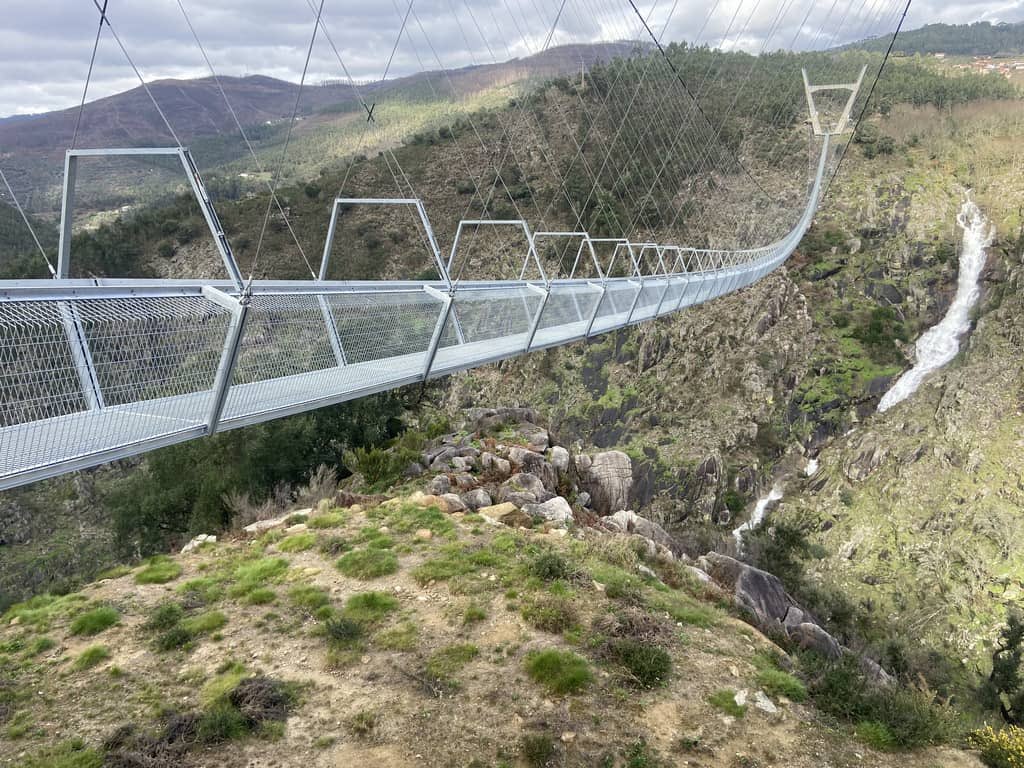 Yendo por la vida tweet media