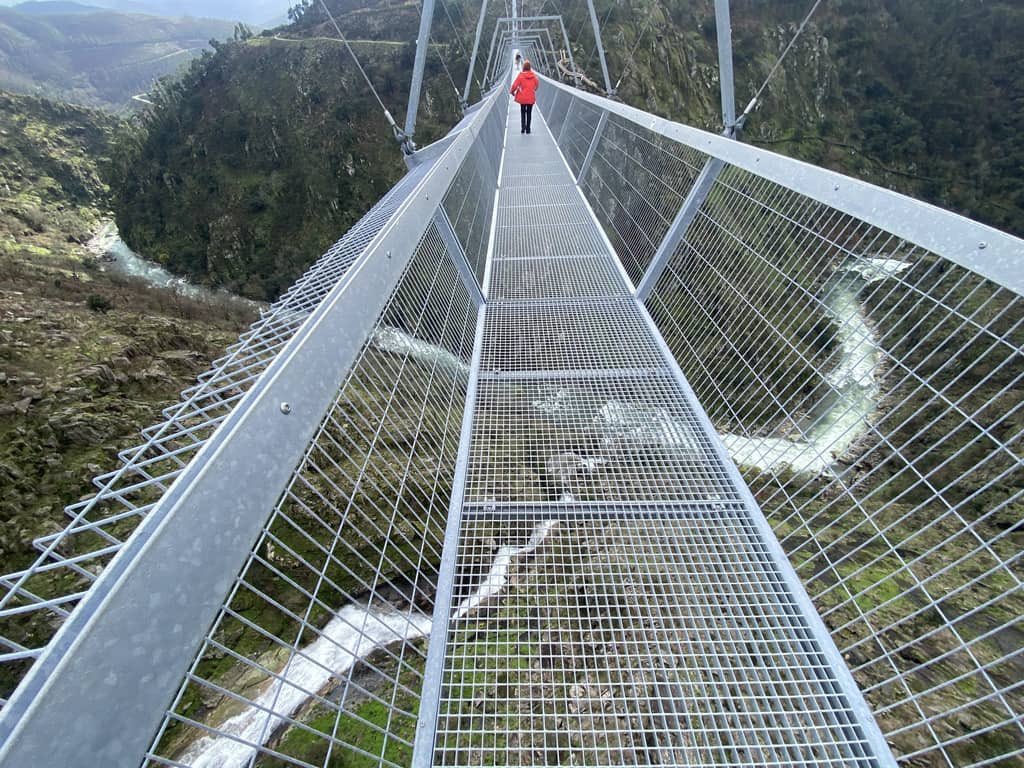 Yendo por la vida tweet media