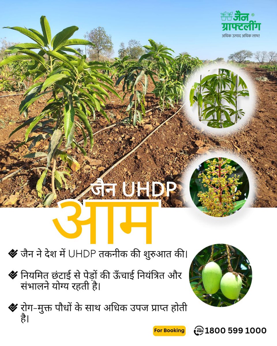 BetterYields_GreaterProfit tweet media