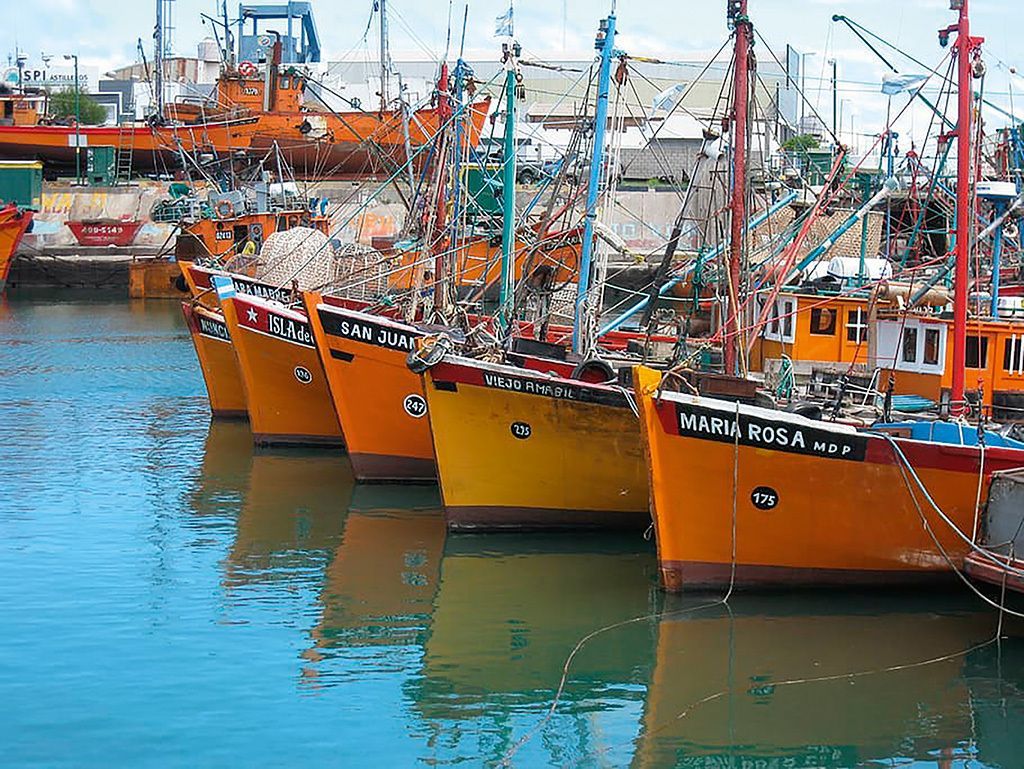 Industrias Pesqueras tweet media