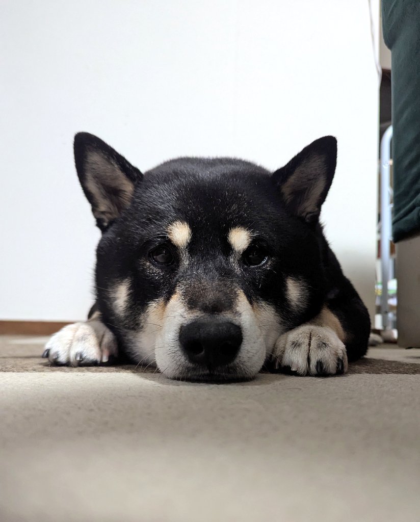 jet2114 (@jet2114) / Posts / X