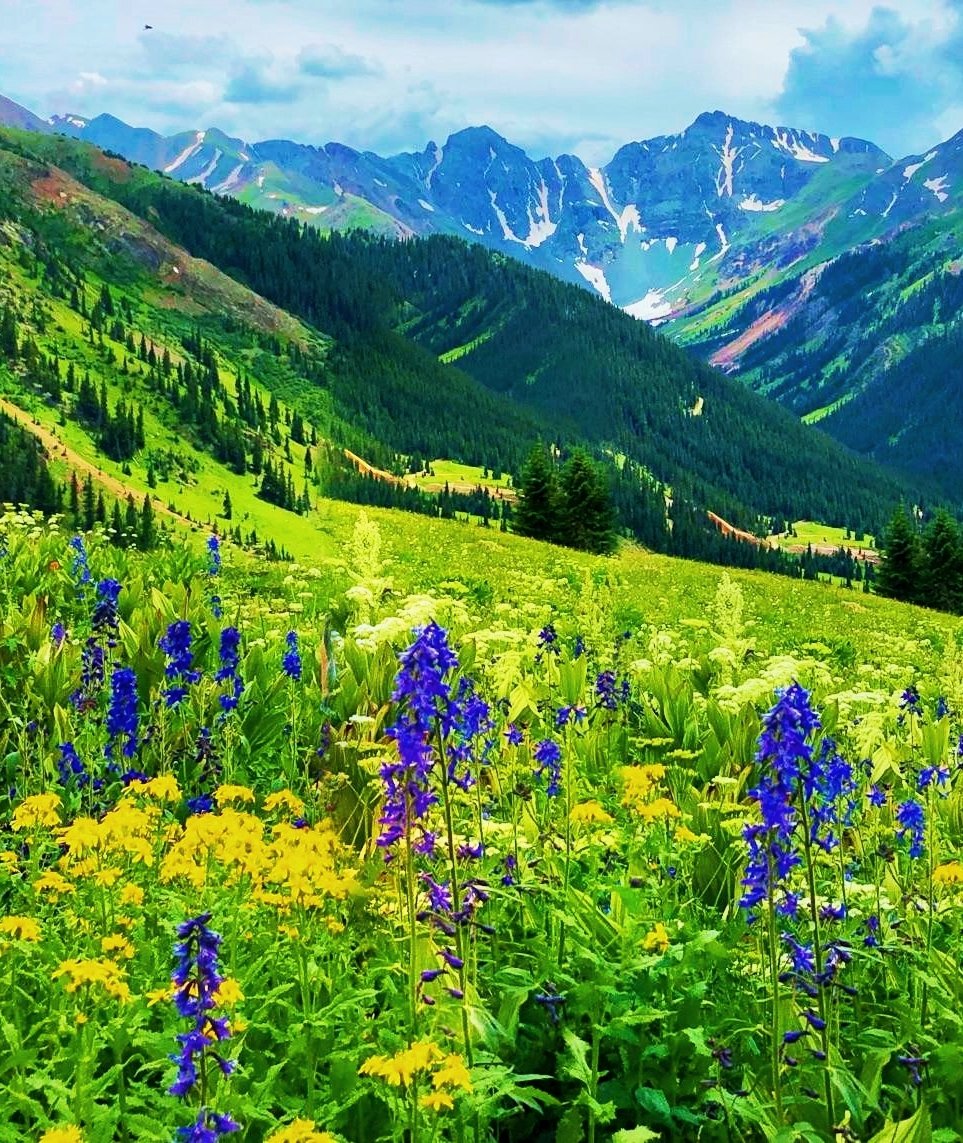 Tina Koskima 🕊️ tweet media