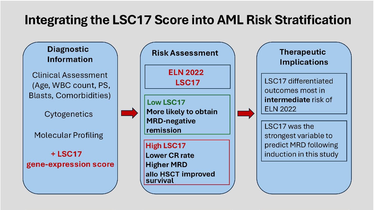 Do you know how to identify patients with acute myeloid leukemia who may have resistant disease after standard induction chemotherapy? The LSC17 score will help you. Don’t miss the news.
haematologica.org/article/view/1…