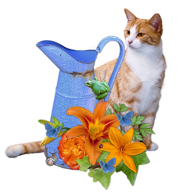 Mark Posey tweet media