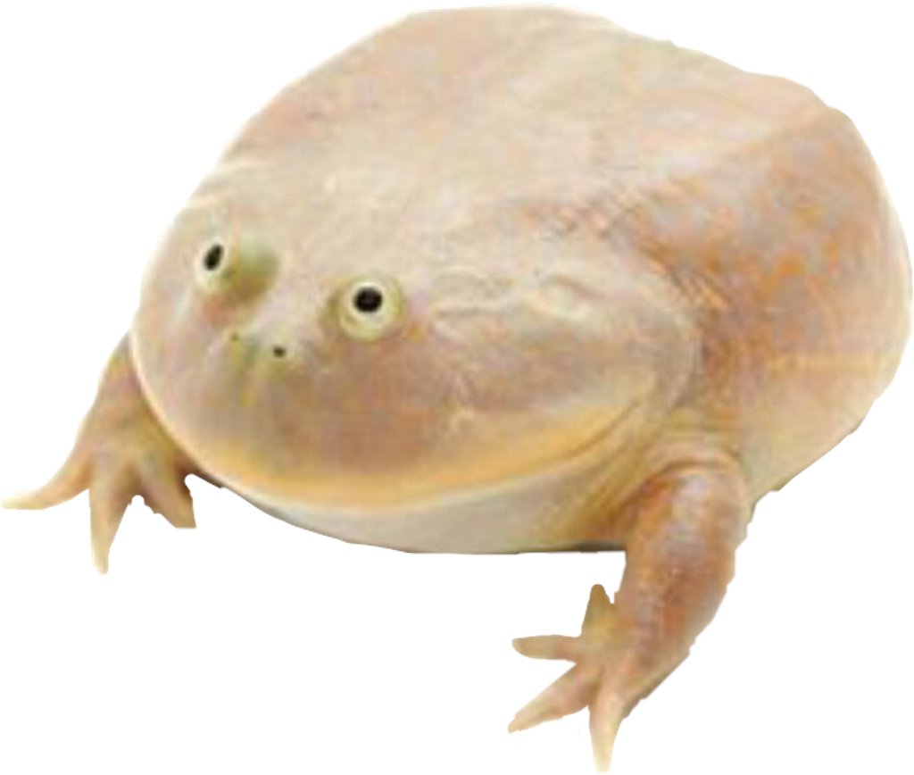 Someone11 tweet media