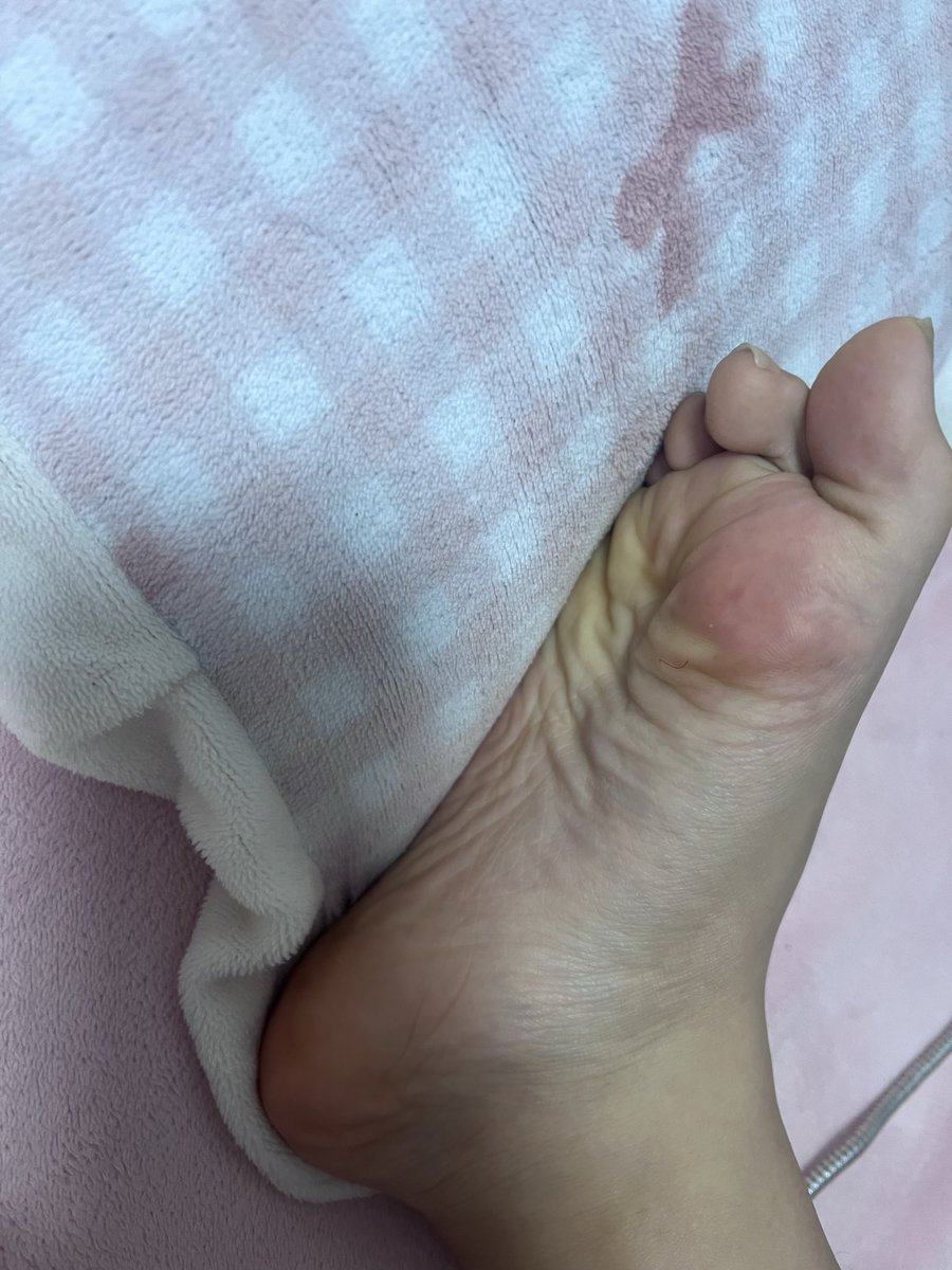 少萝大人 tweet media