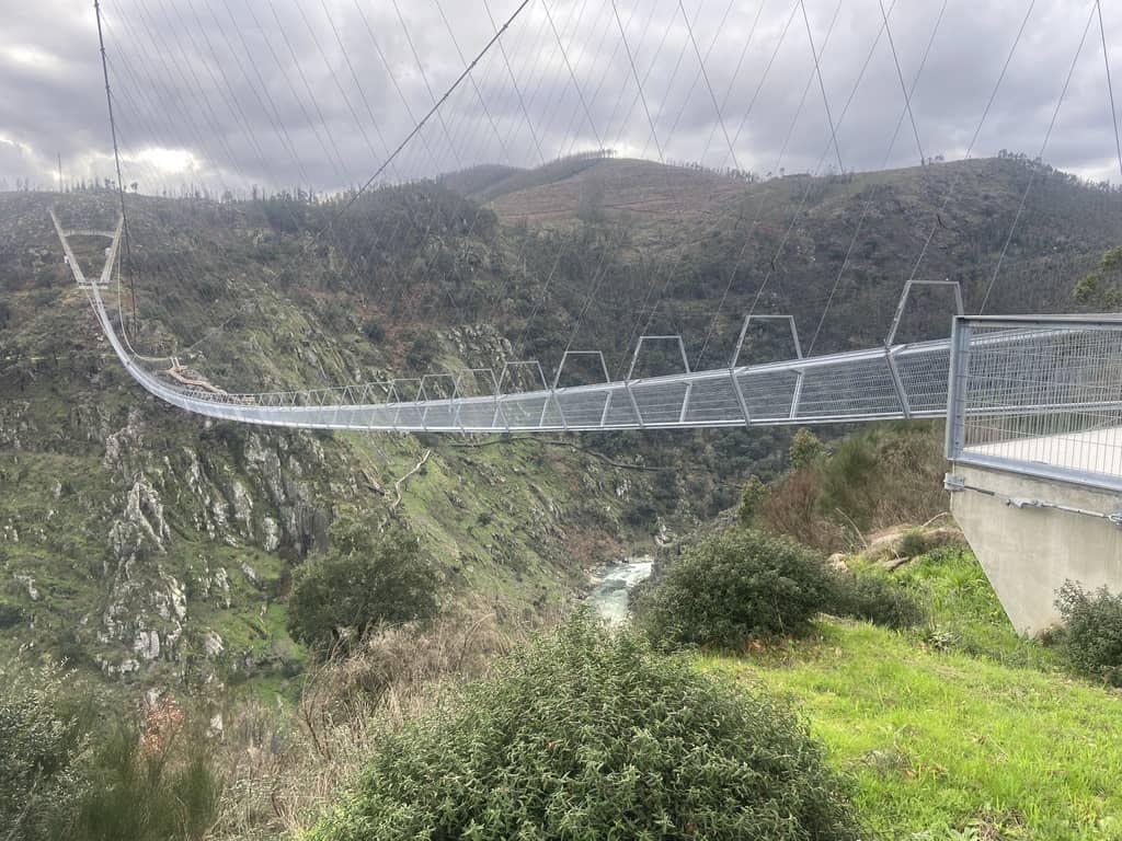 Esther Saiz tweet media