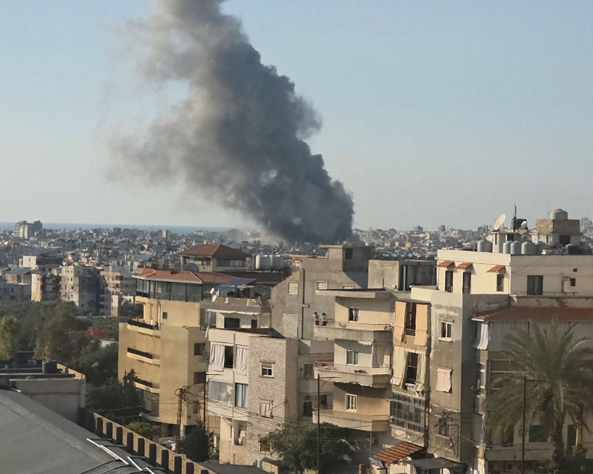 IOM - UN Migration 🇺🇳 tweet media