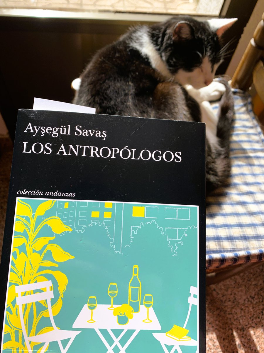 Gabriela tweet media