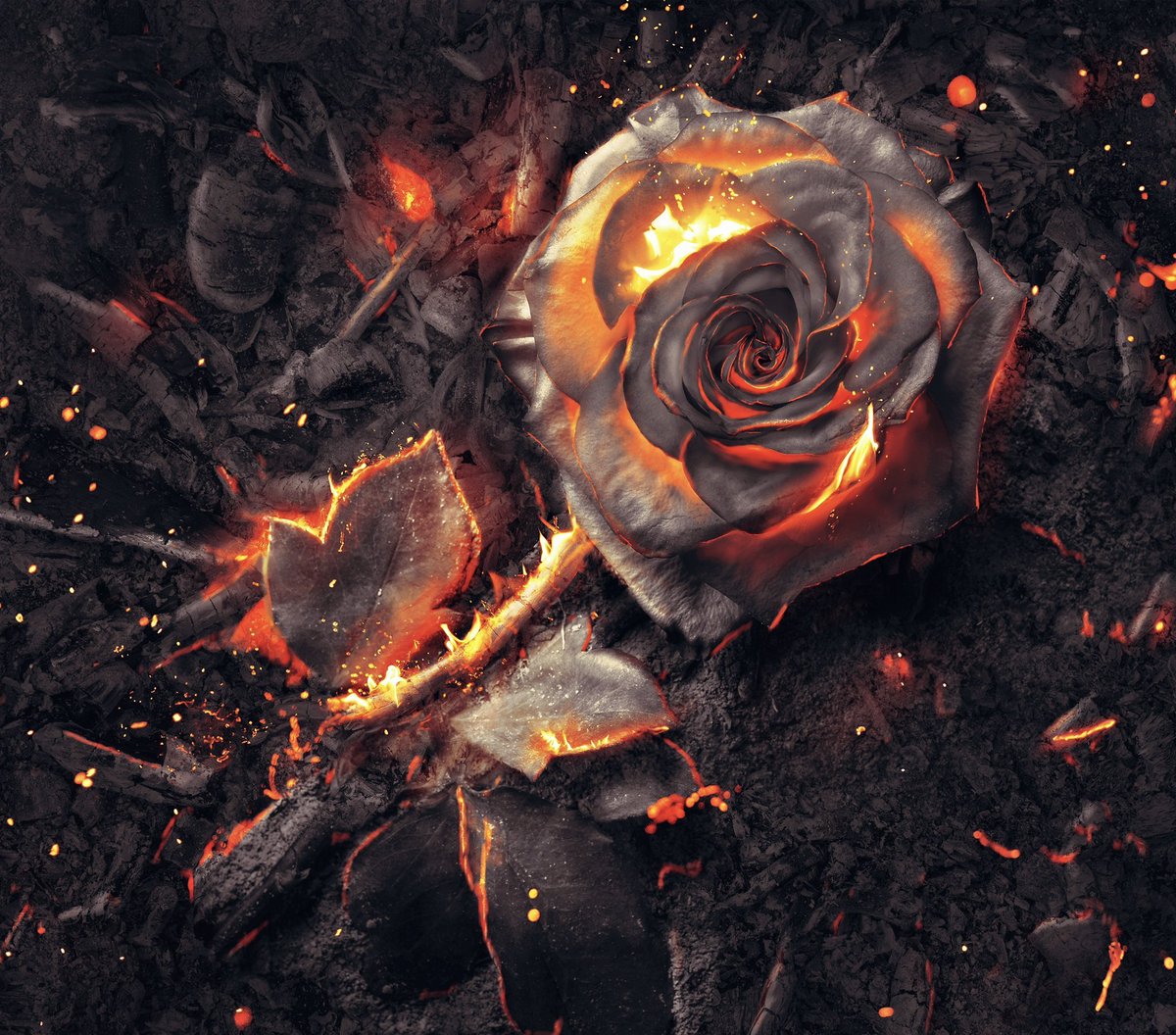 香水オタクの私をさらに沼へと引きずり込んだ香水がラルチザン パフュームのアルカナロザ。つけたては"薔薇のお香"のようなのに時間が経つと紅茶の甘い香りになるのがたまらない…。寝香水としてもおすすめで意外と知られていないのも嬉しい。知ってるだけでワンランク上の大人になれる一本です。