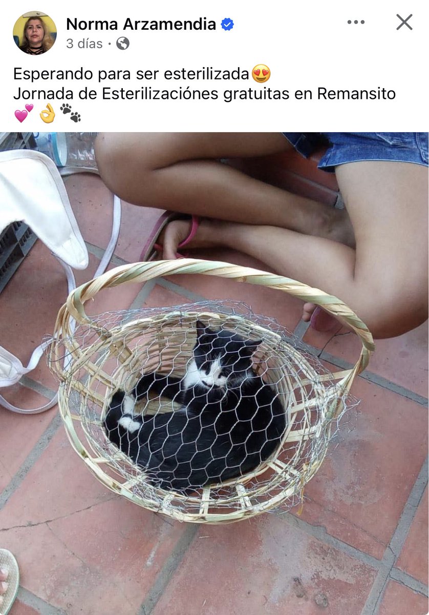 lapolvoramojada's tweet photo. Dueño responsable https://t.co/dVi3tpnG2z