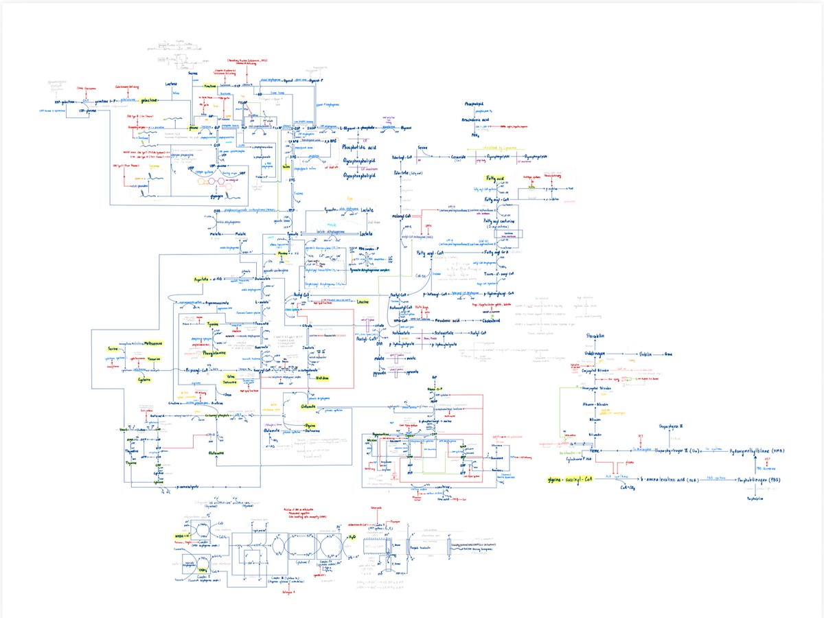 Final Biochem check✅