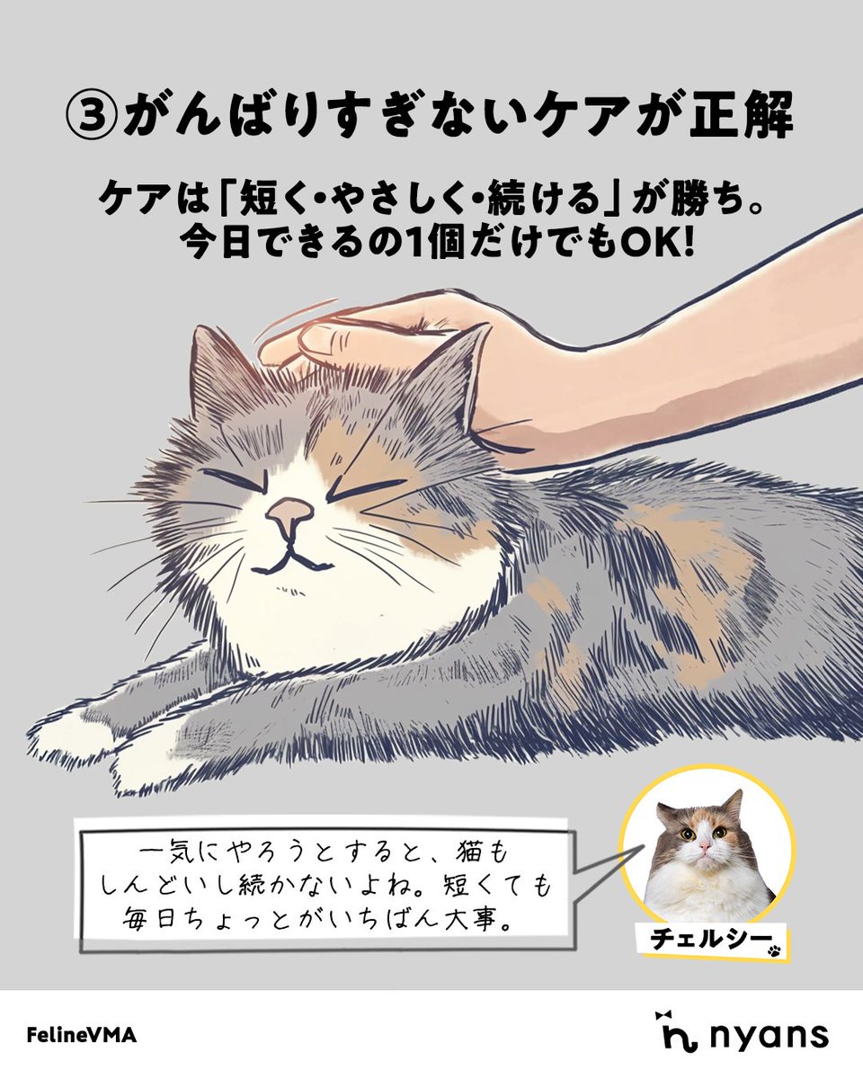 猫のためのnyans【公式】 tweet media