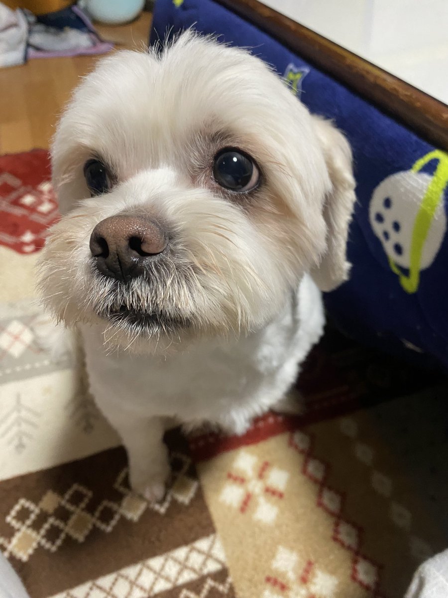 yumiパク tweet media