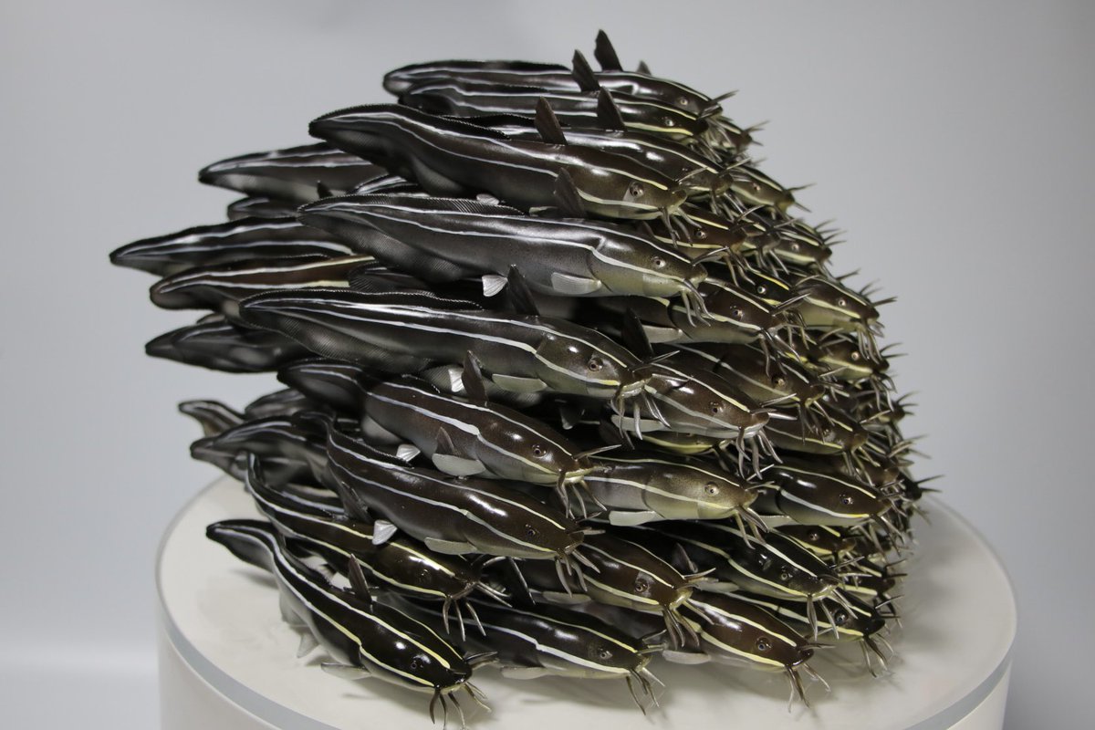 gomap/ごまぷ tweet media