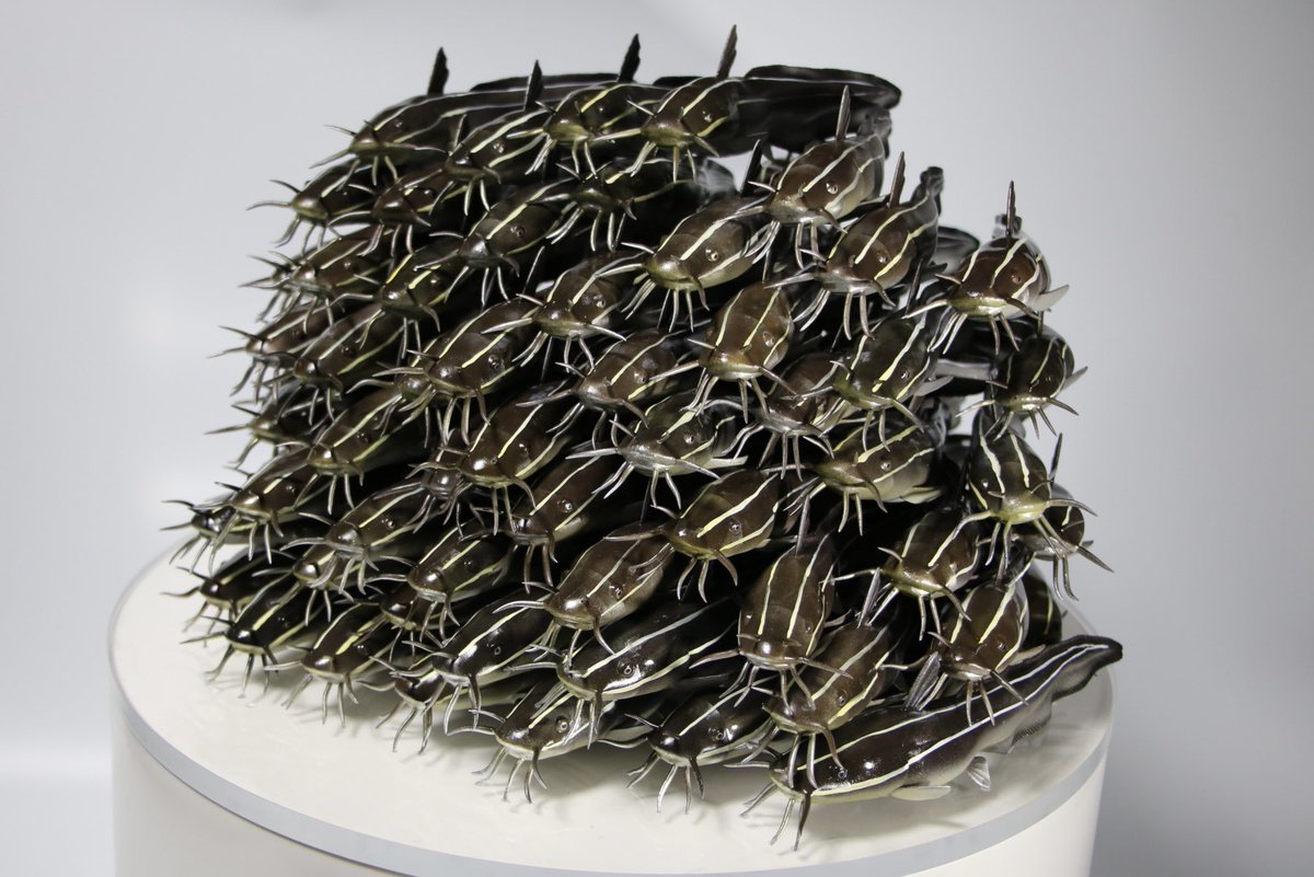 gomap/ごまぷ tweet media