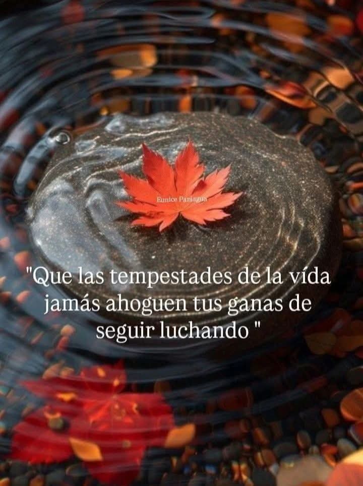 VidaEquilibrad4's tweet photo. https://t.co/hAgRUgSAZH