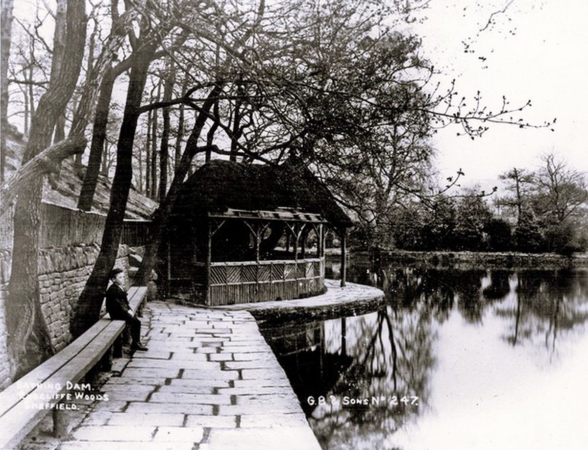 Alastair Wright tweet media