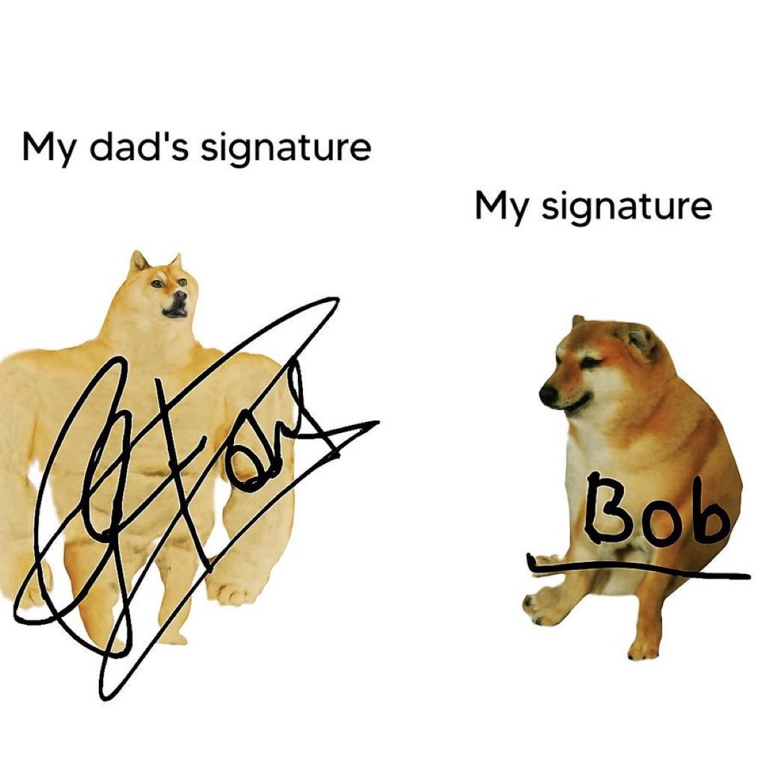 Out of Context Human Race tweet media