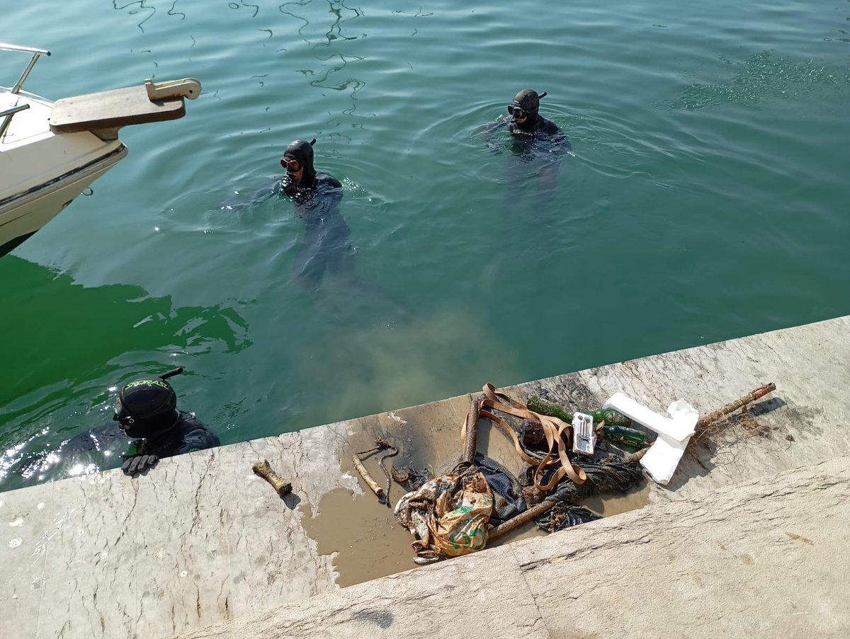 portcastello's tweet photo. #PortCastelló  impulsa un proyecto ambiental para proteger la microrreserva de flora de la playa del Serradal 🔗 https://t.co/GXHtBGILqO
#PuertodeCastellón #AutoridadPortuaria #ecoembes #medioambiente https://t.co/YDYa9RxfDk