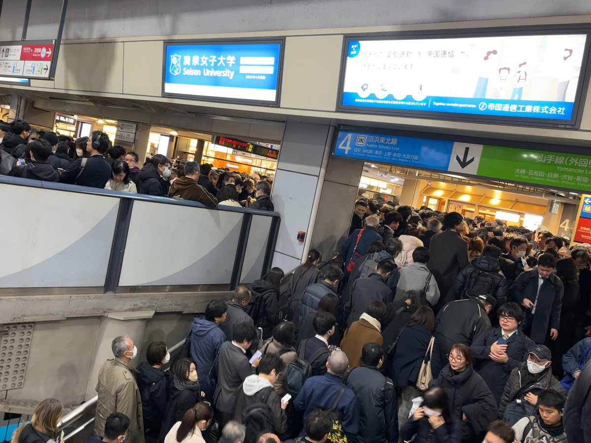 ゾムデッド / ZOMDEAD tweet media