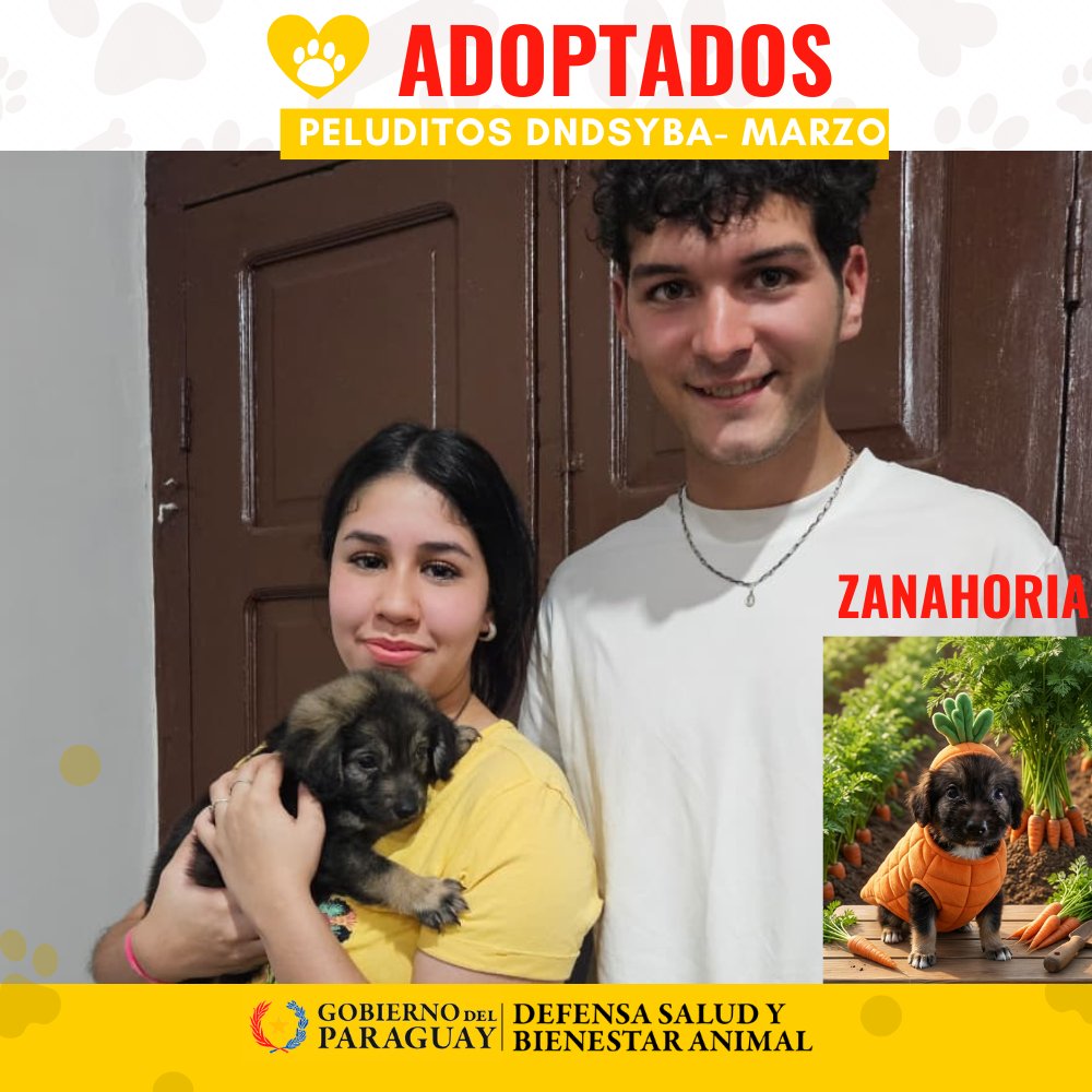 Dirección Nacional de Defensa Animal tweet media