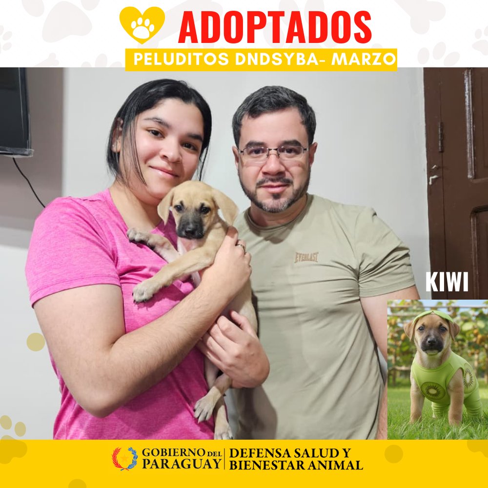 Dirección Nacional de Defensa Animal tweet media