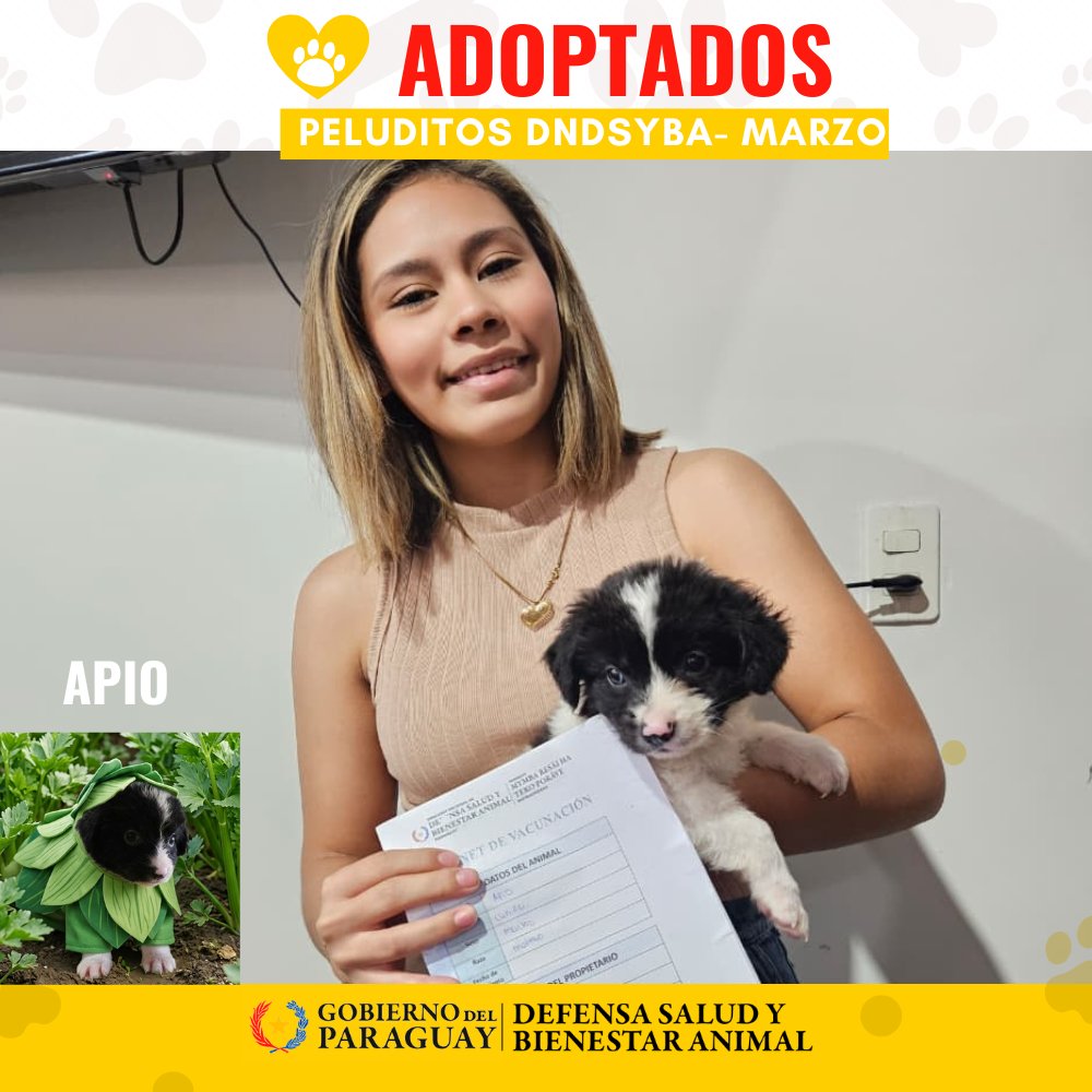 Dirección Nacional de Defensa Animal tweet media