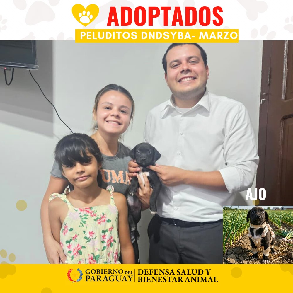 Dirección Nacional de Defensa Animal tweet media