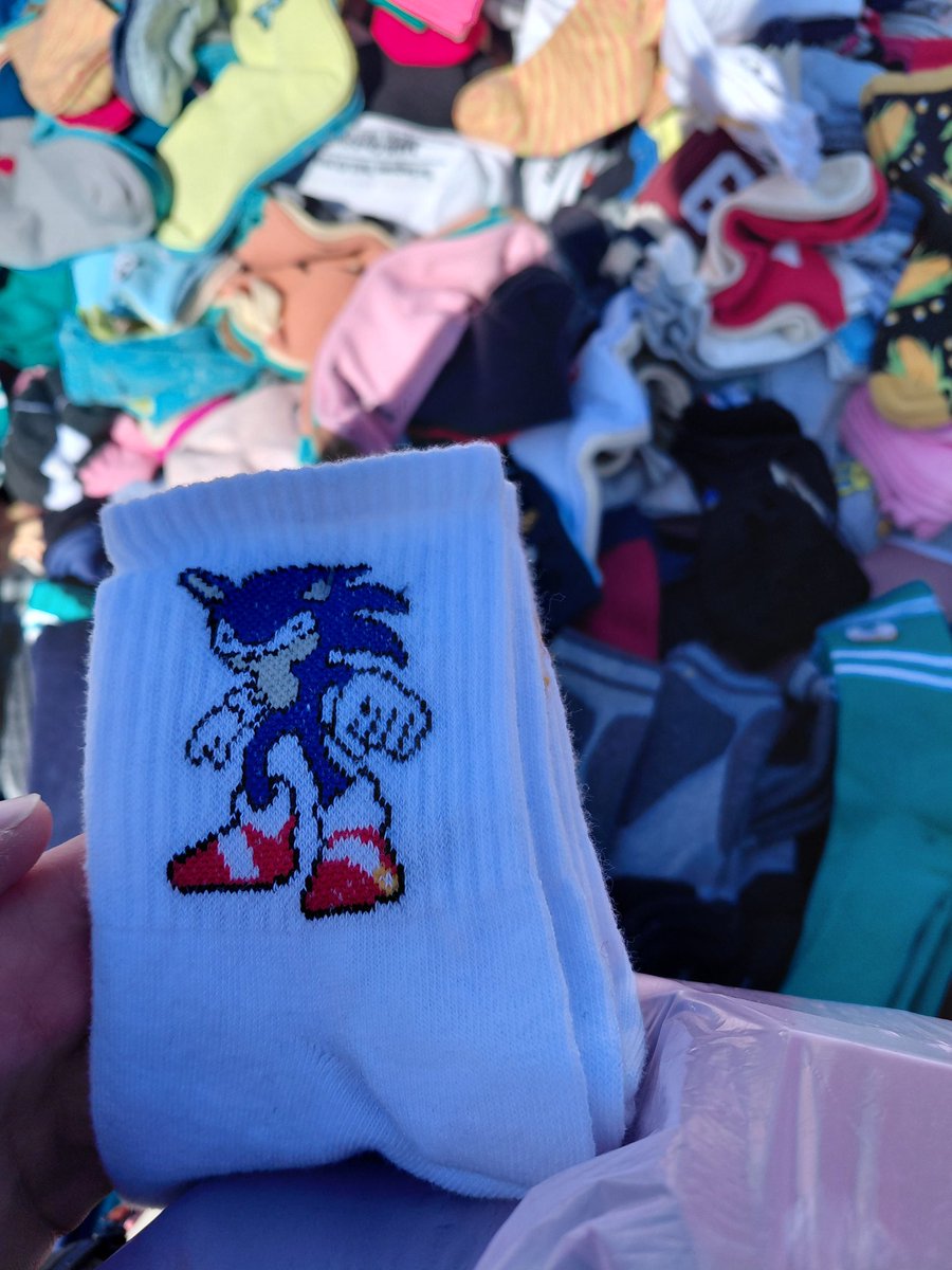 6mermer9's tweet photo. sonic, leashed https://t.co/t3WUZykSKc