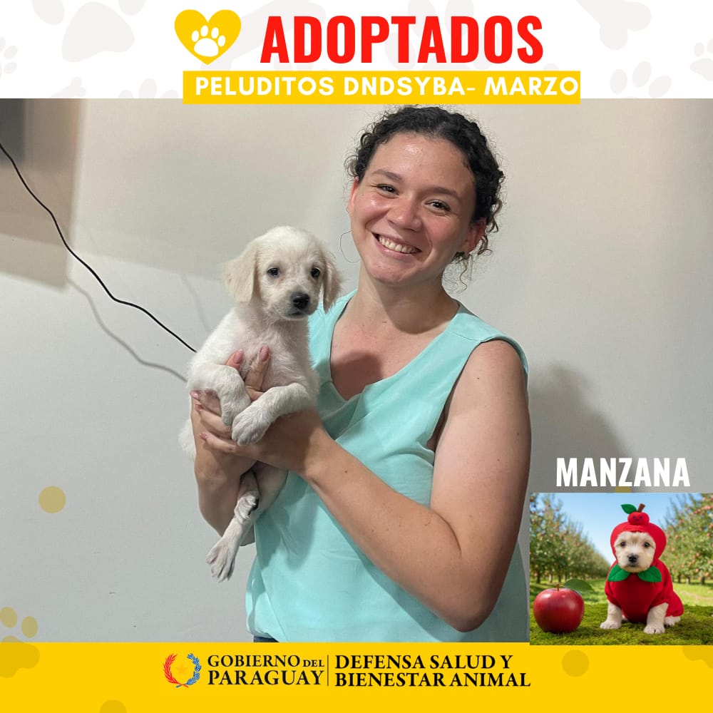 Dirección Nacional de Defensa Animal tweet media