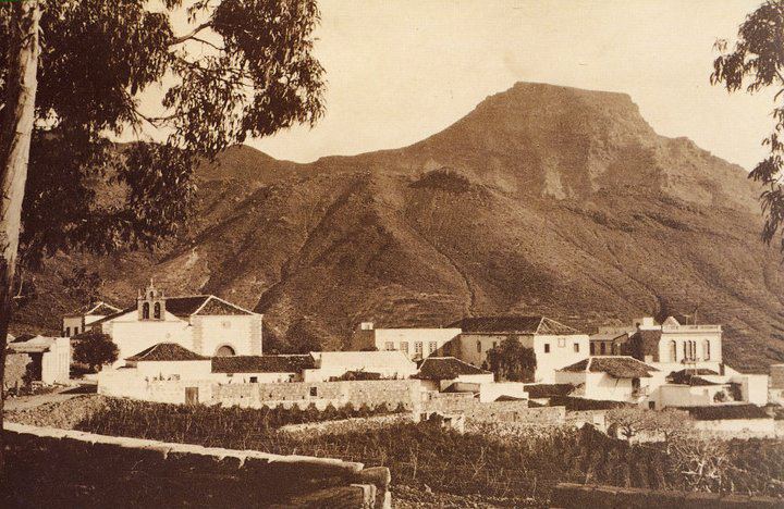 AMT Sol y Playa tweet media