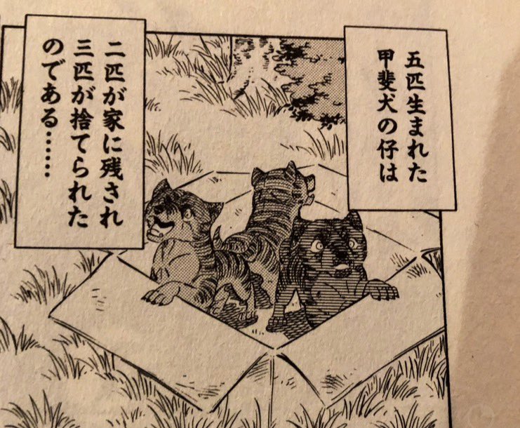 🌌高橋よしひろ先生新連載🌌銀牙伝説レクイエム🌌 (@katukatu210