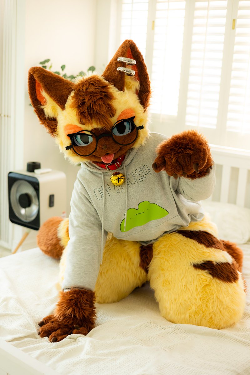 이리와 조금만 더 가까이

📸: <a href="/yun__poi/">윤포이</a> 
#FursuitEveryday #miyu_me_you