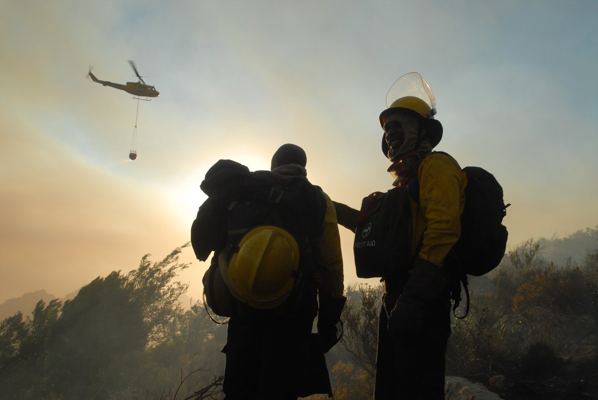 WOF-Kishugu JV tweet media